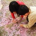 春の草花でアートしよう