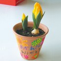 母の日・父の日プレゼント「鉢植えのプレゼント」