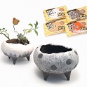 粘土（ひなたぼっこ）で植木鉢を作ろう！